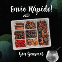 Kit Meu Gin Gourmet Karpinski Temperos Finos com sete especiarias