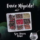 Kit Meu Gin Tônica Basic Karpinski Temperos Finos com sete especiarias