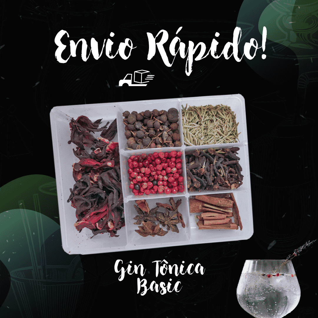 Kit Meu Gin Tônica Basic Karpinski