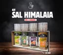 Kit Sal Himalaia Temperado 1